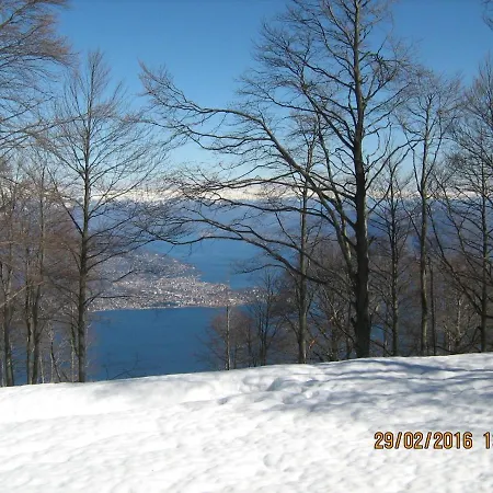 Magnolia Bb, Maggiore Массино-Висконти