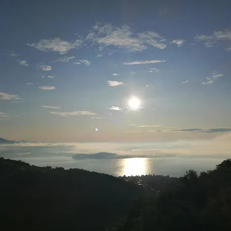 Magnolia Bb, Maggiore Массино-Висконти