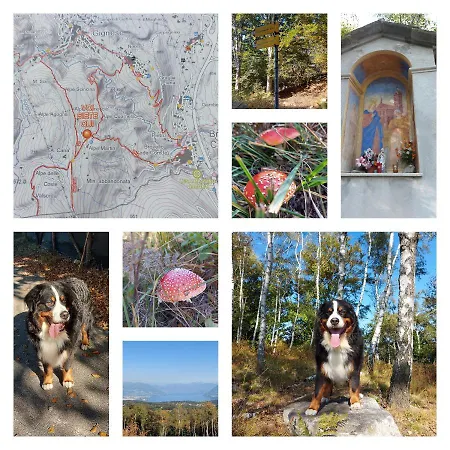 Magnolia Bb, Maggiore Отель типа 