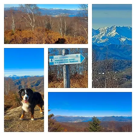 Bed & Breakfast Magnolia Bb, Maggiore Massino Visconti