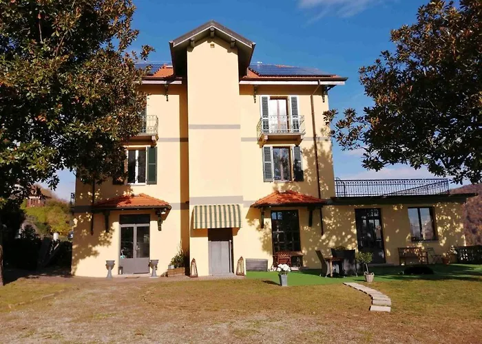 Magnolia Bb, Maggiore マッシーノ・ヴィスコンティ