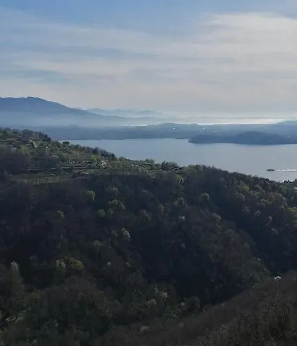 Magnolia Bb, Maggiore 3* マッシーノ・ヴィスコンティ