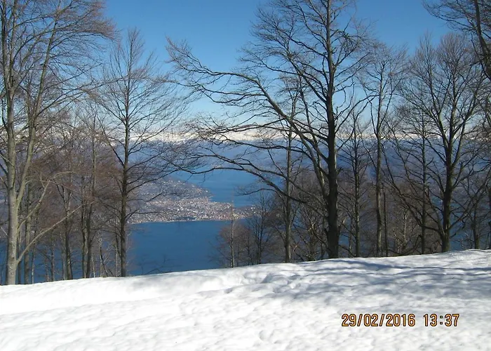Magnolia Bb, Maggiore Massino Visconti