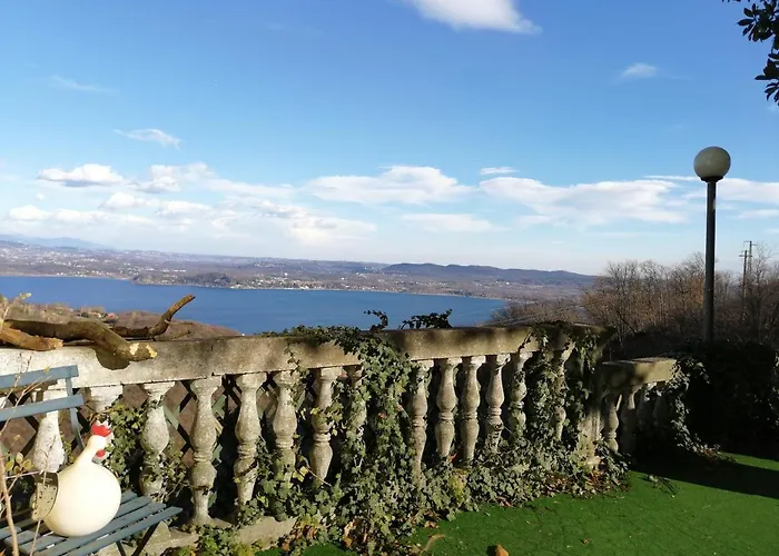 Magnolia Bb, Maggiore マッシーノ・ヴィスコンティ