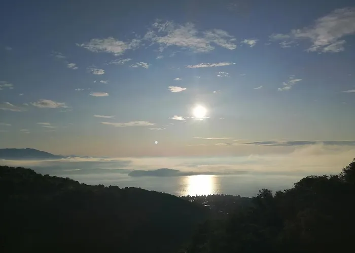 Magnolia Bb, Maggiore マッシーノ・ヴィスコンティ