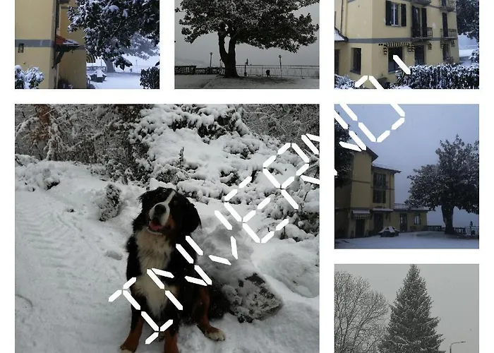 Magnolia Bb, Maggiore Nocleg ze śniadaniem