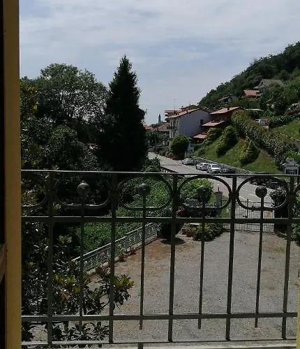 Magnolia Bb, Maggiore マッシーノ・ヴィスコンティ