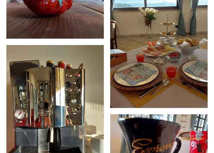 Magnolia Bb, Maggiore マッシーノ・ヴィスコンティ