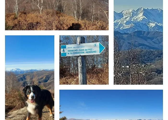 Nocleg ze śniadaniem Magnolia Bb, Maggiore Massino Visconti