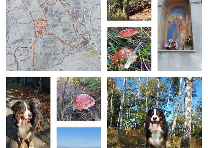 Magnolia Bb, Maggiore Nocleg ze śniadaniem 3*